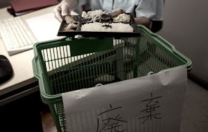食品ロスの発生元をたどる─行き着く先は事業者？一般家庭？