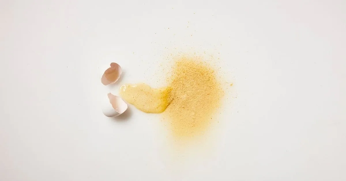 植物性卵「UMAMI EGG」が注目を集める理由