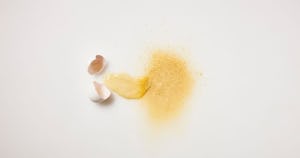 植物性卵「UMAMI EGG」が注目を集める理由