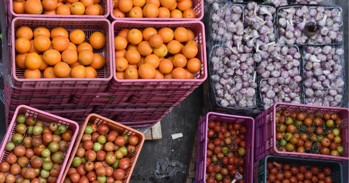 農産加工品メーカーとは? 農産加工品会社の特徴と種類を一覧で解説