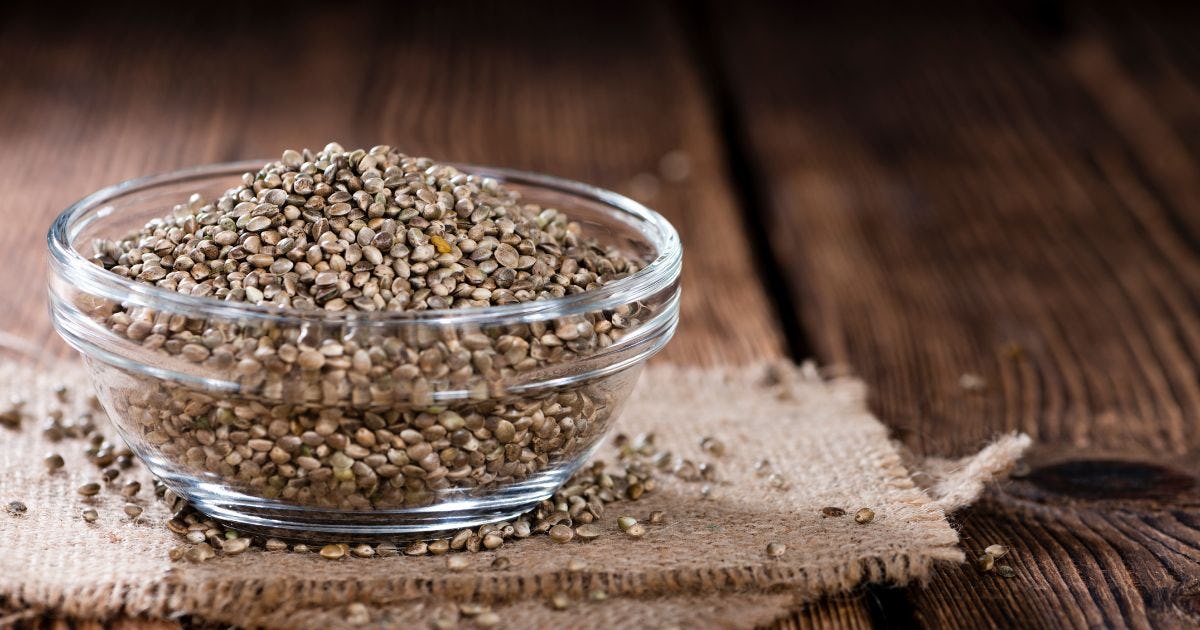 ヘンププロテインの効果とは|デメリットや危険性についても解説!