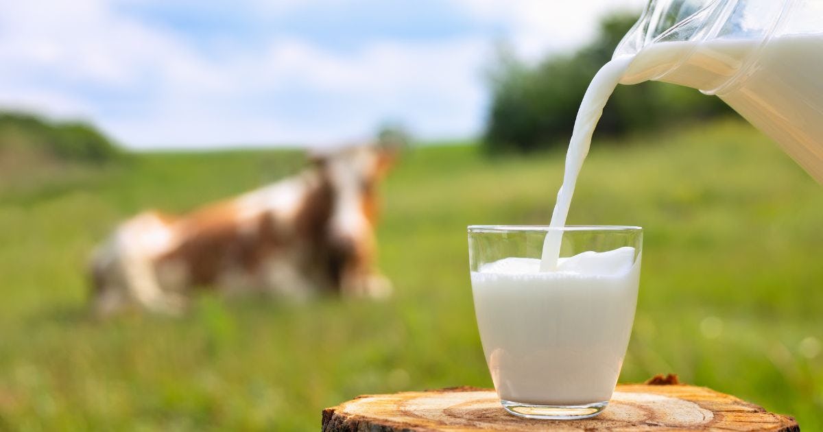 牛乳のカゼインとは？含まれる食品とカゼインプロテインについても解説