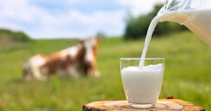 牛乳のカゼインとは？含まれる食品とカゼインプロテインについても解説
