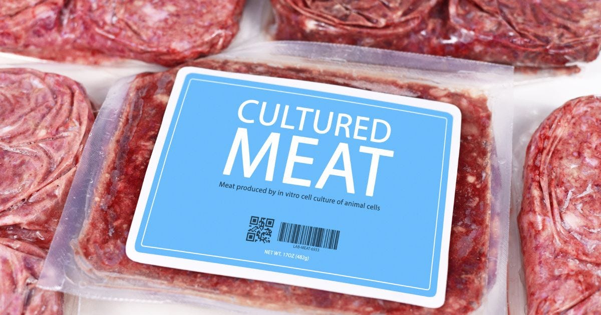 培養肉のメリットを知る｜環境負荷の少ない「クリーンミート」と呼ばれる理由
