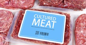 培養肉のメリットを知る｜環境負荷の少ない「クリーンミート」と呼ばれる理由