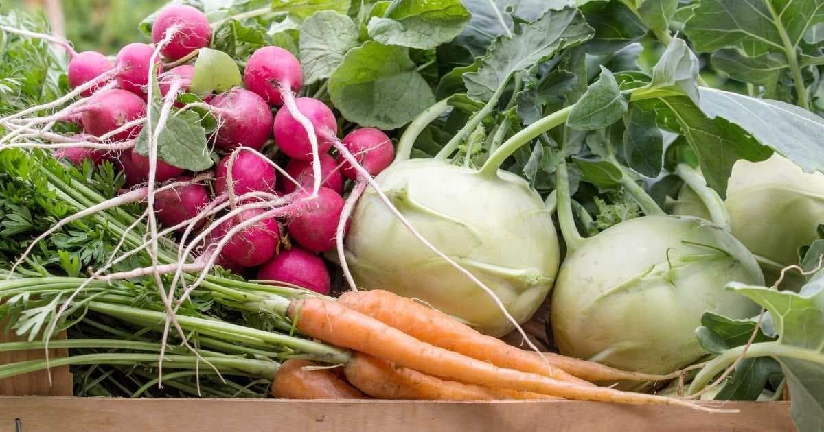 日本最大の青果市場で生まれた食品ロス削減のサービス