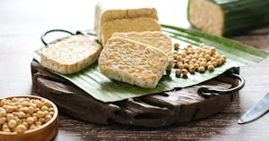 発酵食品テンペの栄養や効果効能とは｜テンペ菌についても詳しく解説