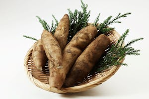 お腹にやさしい食材「ヤーコン」。その魅力と調理法とは？