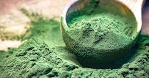 最古の植物「スピルリナ」。その豊富な栄養に熱視線