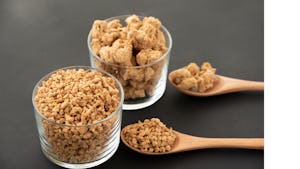 知らないとまずい？！タンパク質危機。20XX年までに肉や魚が足りなくなる？