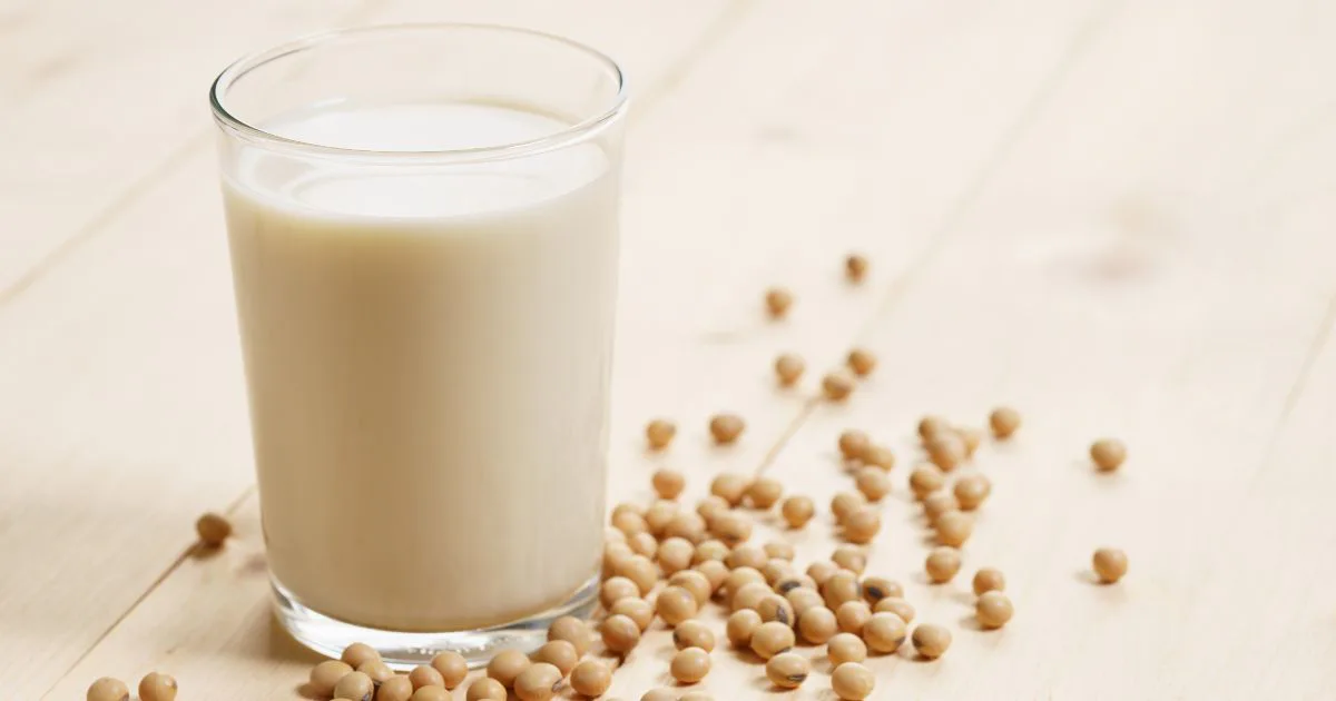 豆乳チーズの作り方を紹介｜豆乳から作る植物性チーズは栄養豊富で低カロリー