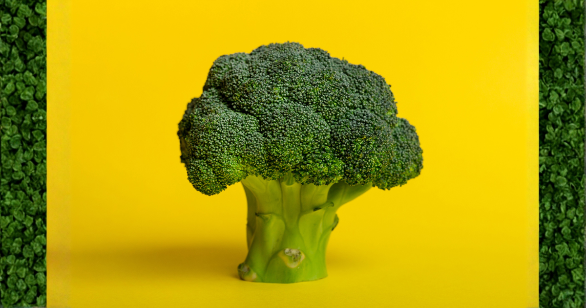 ブロッコリーが指定野菜に！従来の14品目一覧と特定野菜との違いについて解説