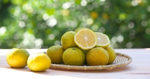 花粉症予防で注目の果物「じゃばら」｜効能・食べ方・使い方を紹介【紀伊路屋】
