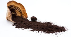 コーヒーの粉の再利用方法8選、効果と乾燥方法も解説