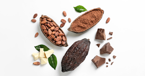 特集|カカオ代替原料〜価格高騰の背景と、栄養価・健康効果も紹介〜