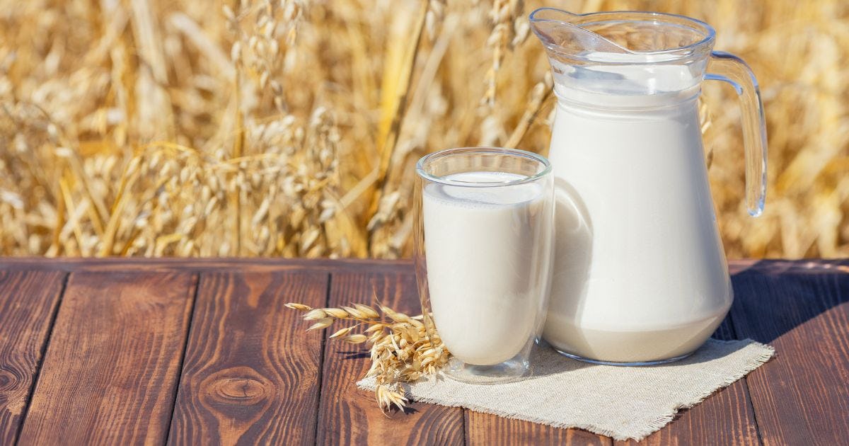 注目のオーツミルクとは？牛乳や豆乳にはないメリット・デメリット・注意点をご紹介