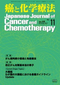 癌と化学療法 2017年11月号の表紙