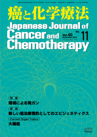 癌と化学療法 2013年11月号の表紙