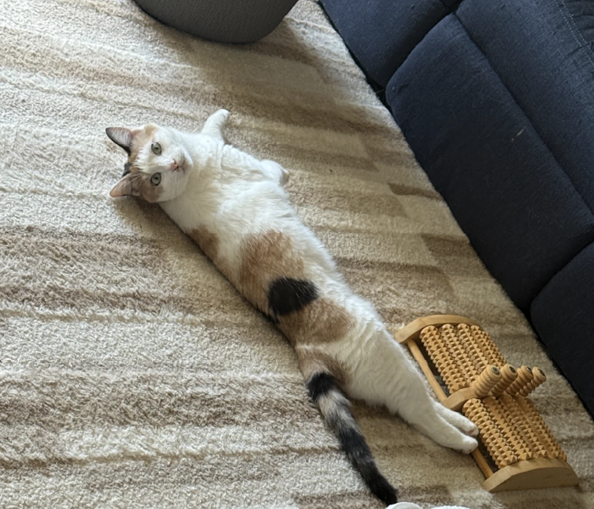そんなに一生懸命やってどうすんだよ
