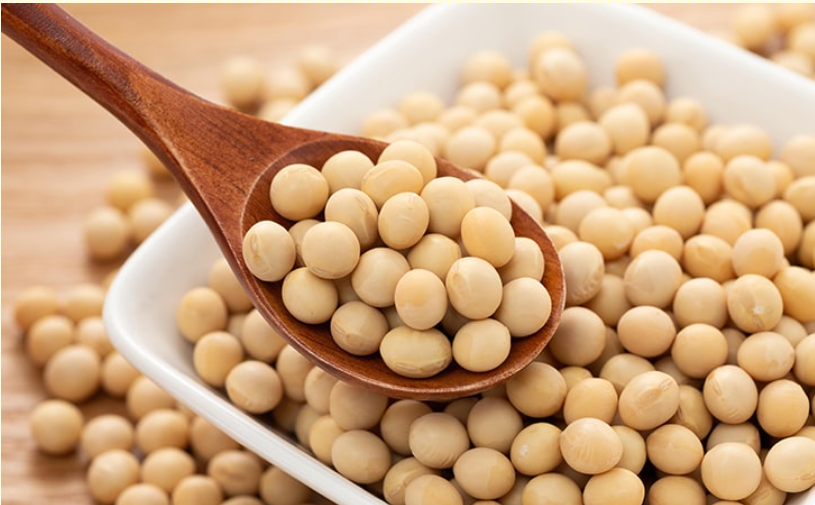 大豆たんぱくについてのアイキャッチ画像