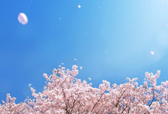 年度末・年度始まりのダイエットの落とし穴のアイキャッチ画像