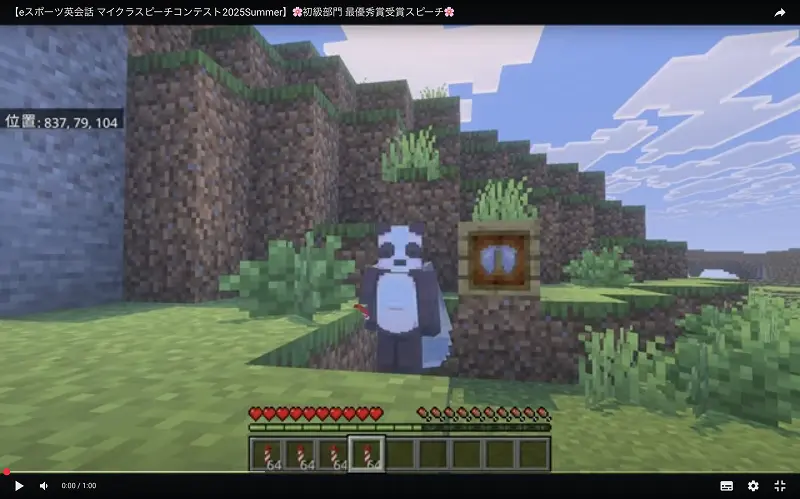 マインクラフトの画面、パンダのキャラクターが画面中央でエリトラをつけ、花火を持った状態でこちらを向いている。
