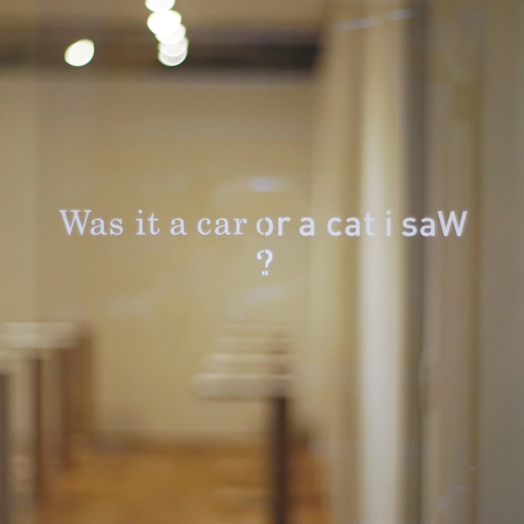 Was it a car or a cat i saW? の画像
