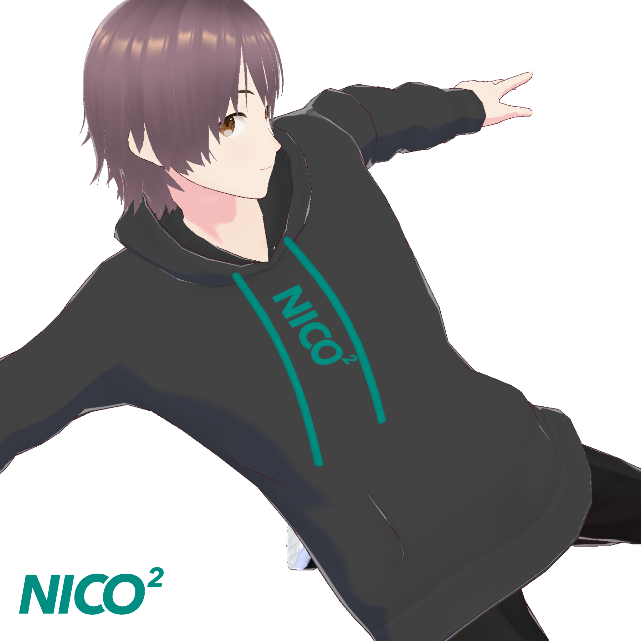 NICO2