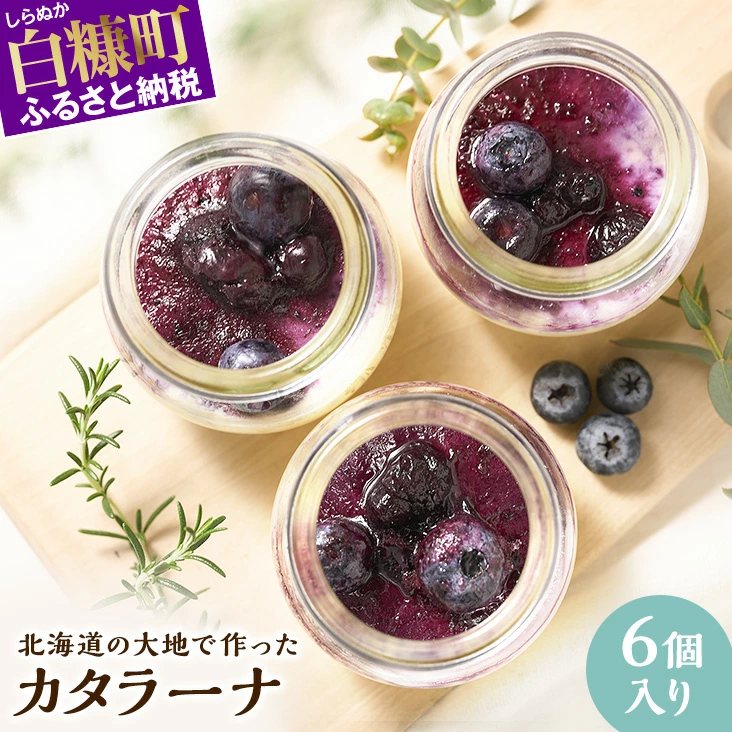 カタラーナ 6個セット