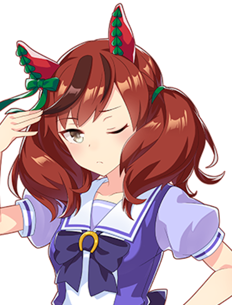 ナイスネイチャ