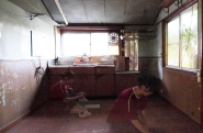 test 詳細1