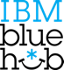 IBM ブルーハブの取組
