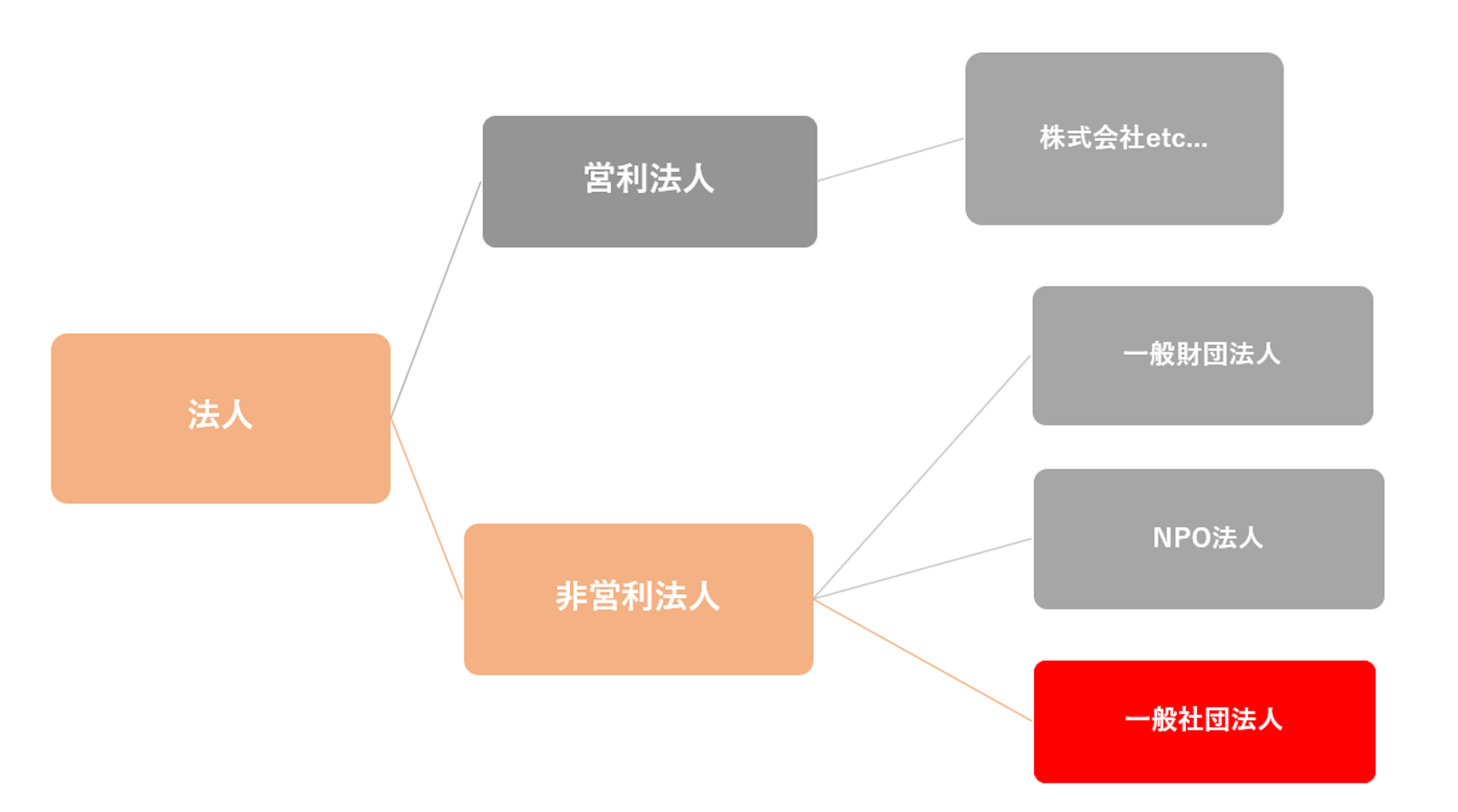 図解でわかるNPO法人一般社団法人 法人の種類と特徴をわかりやすく
