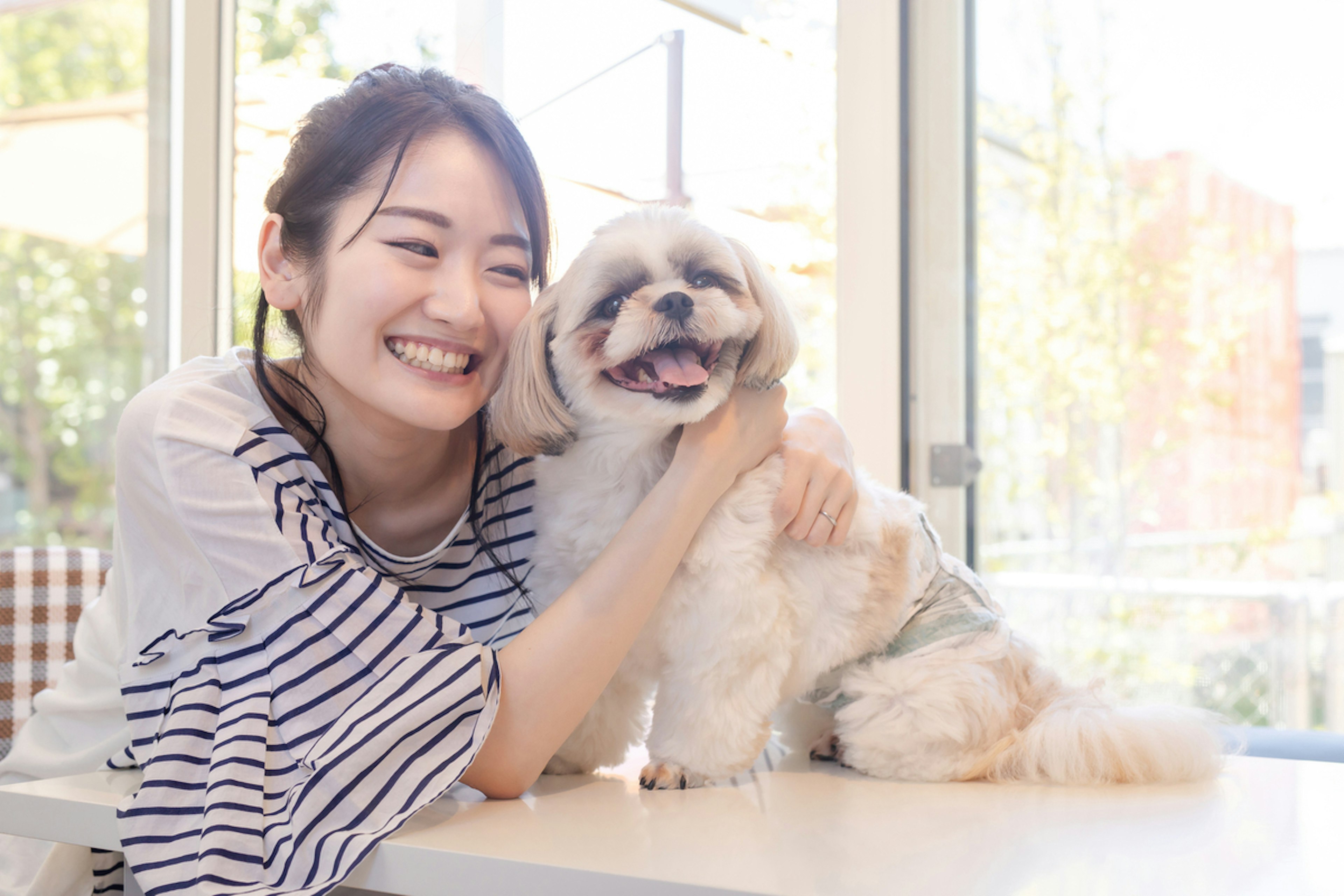 犬とトリマー