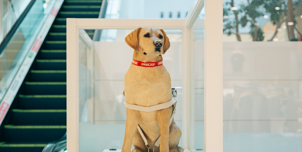 盲導犬の活動を支援