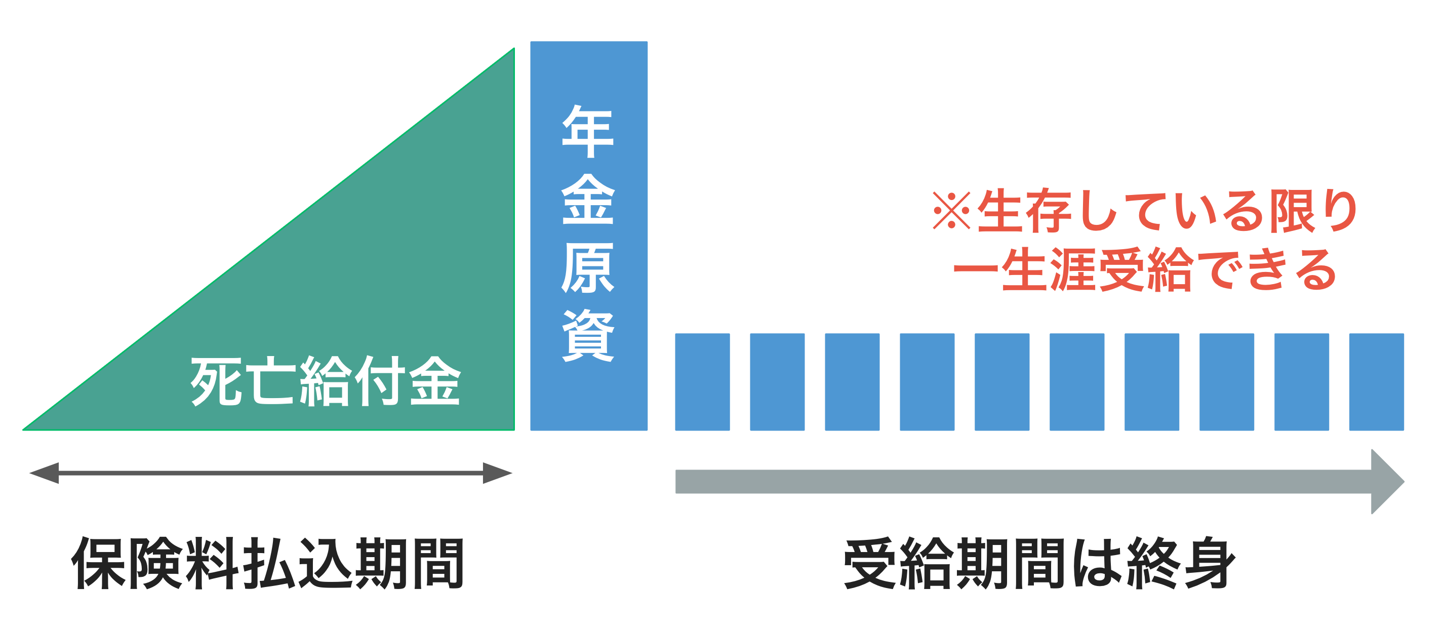 終身年金は、被保険者が生存している限り一生涯年金が受け取れる