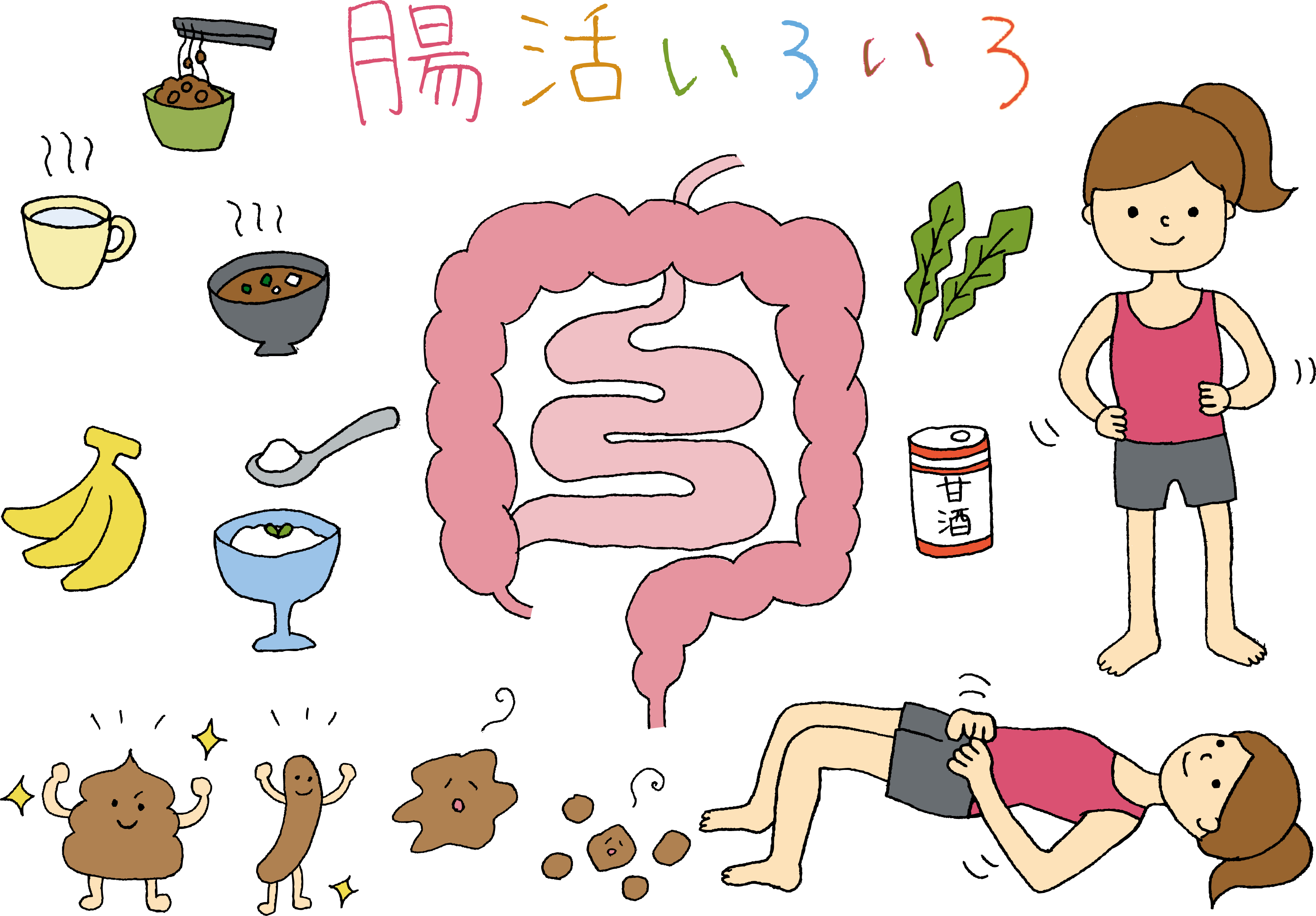 腸活のイメージイラスト