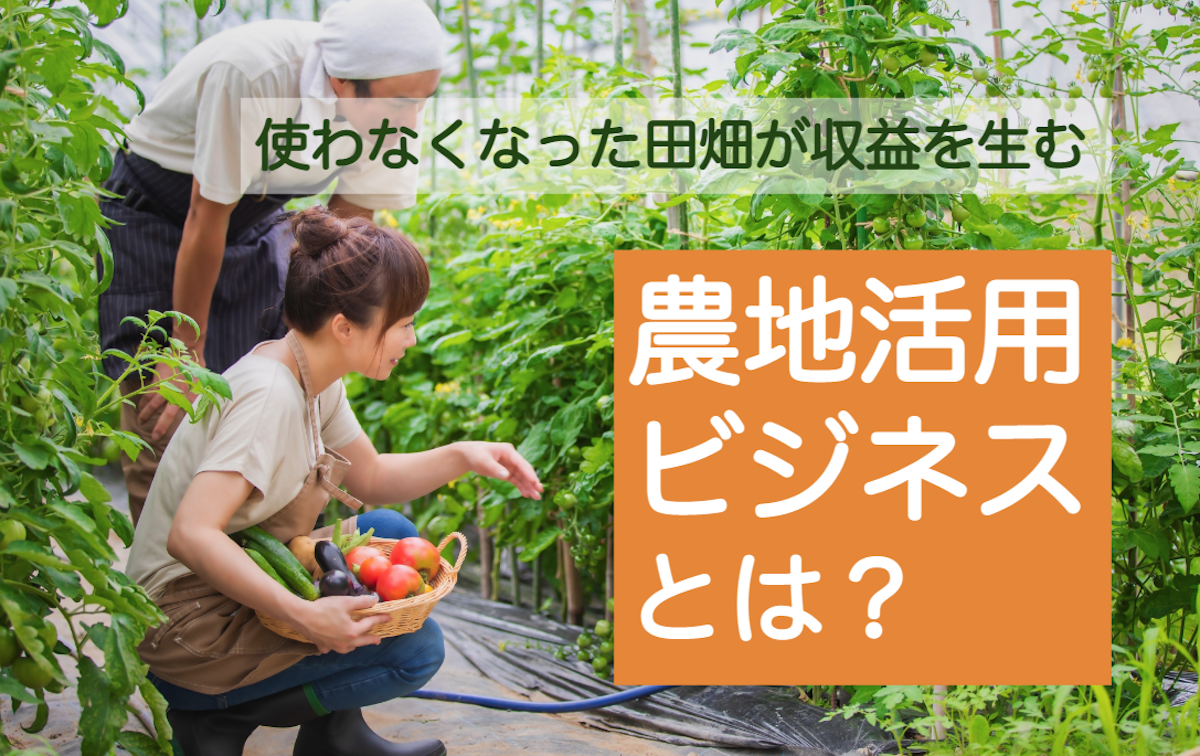 事例あり】使わなくなった田畑が収益を生む「農地活用ビジネス」とは？｜シニアタイムズ