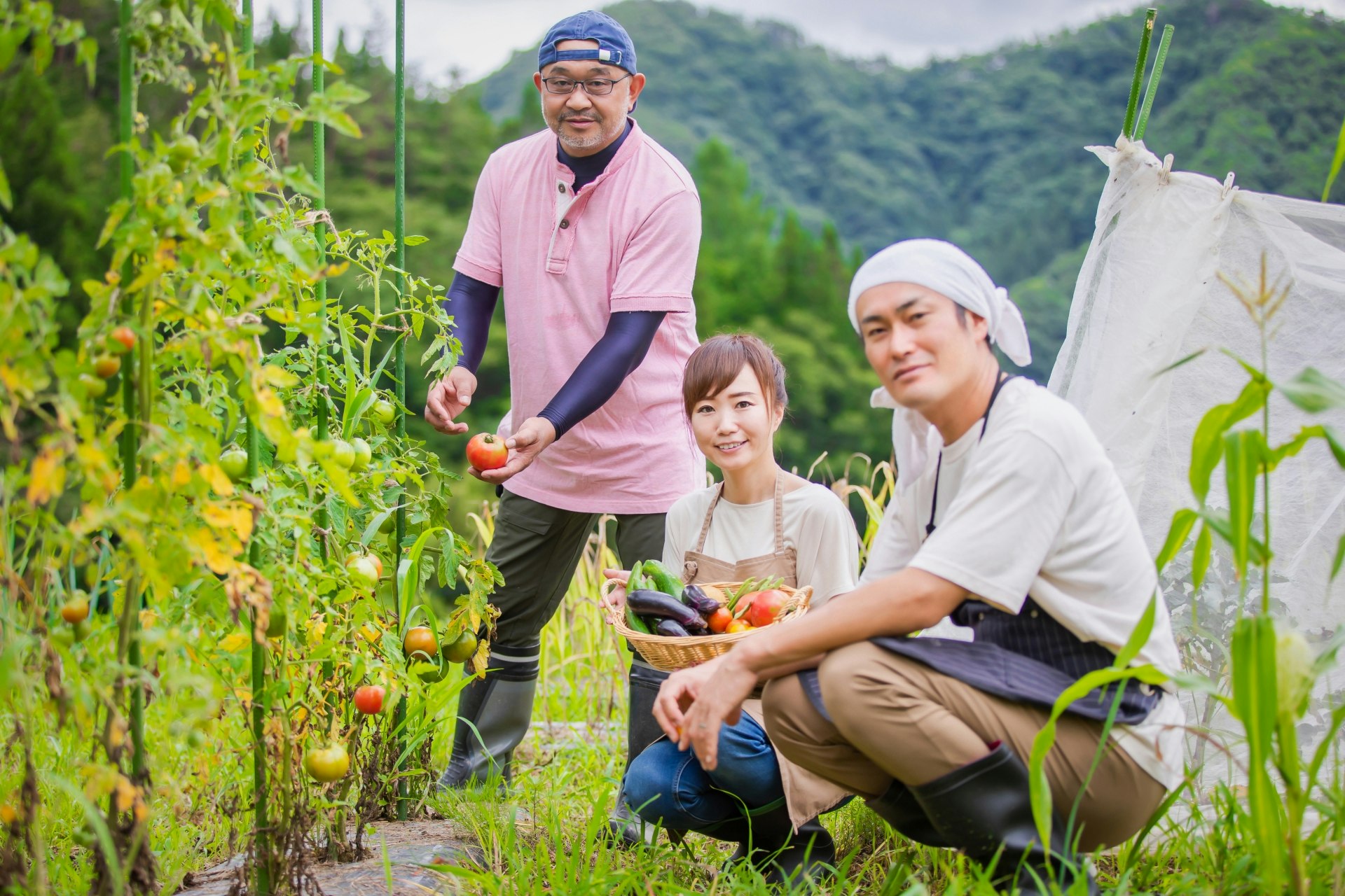 野菜作りをする人
