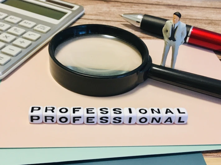 「PROFESSIONAL」の文字ブロックと虫めがね