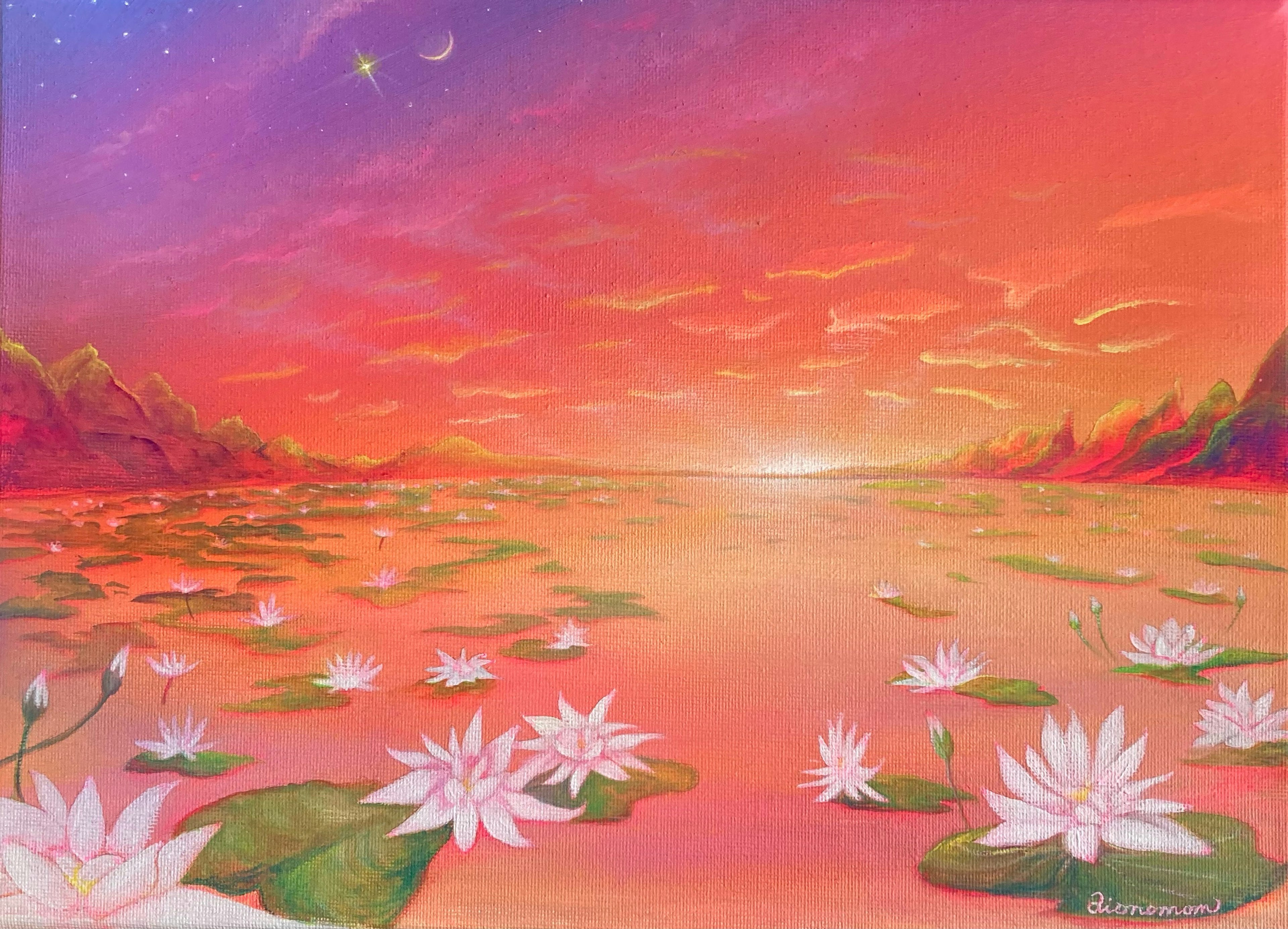 Lotus field 