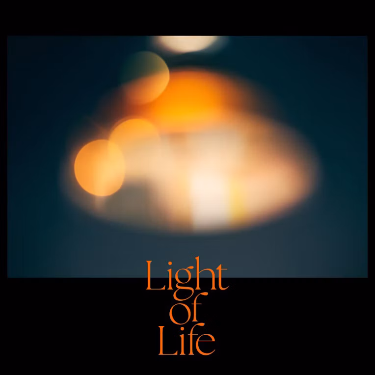 写真展「Light of Life 」のフライヤー