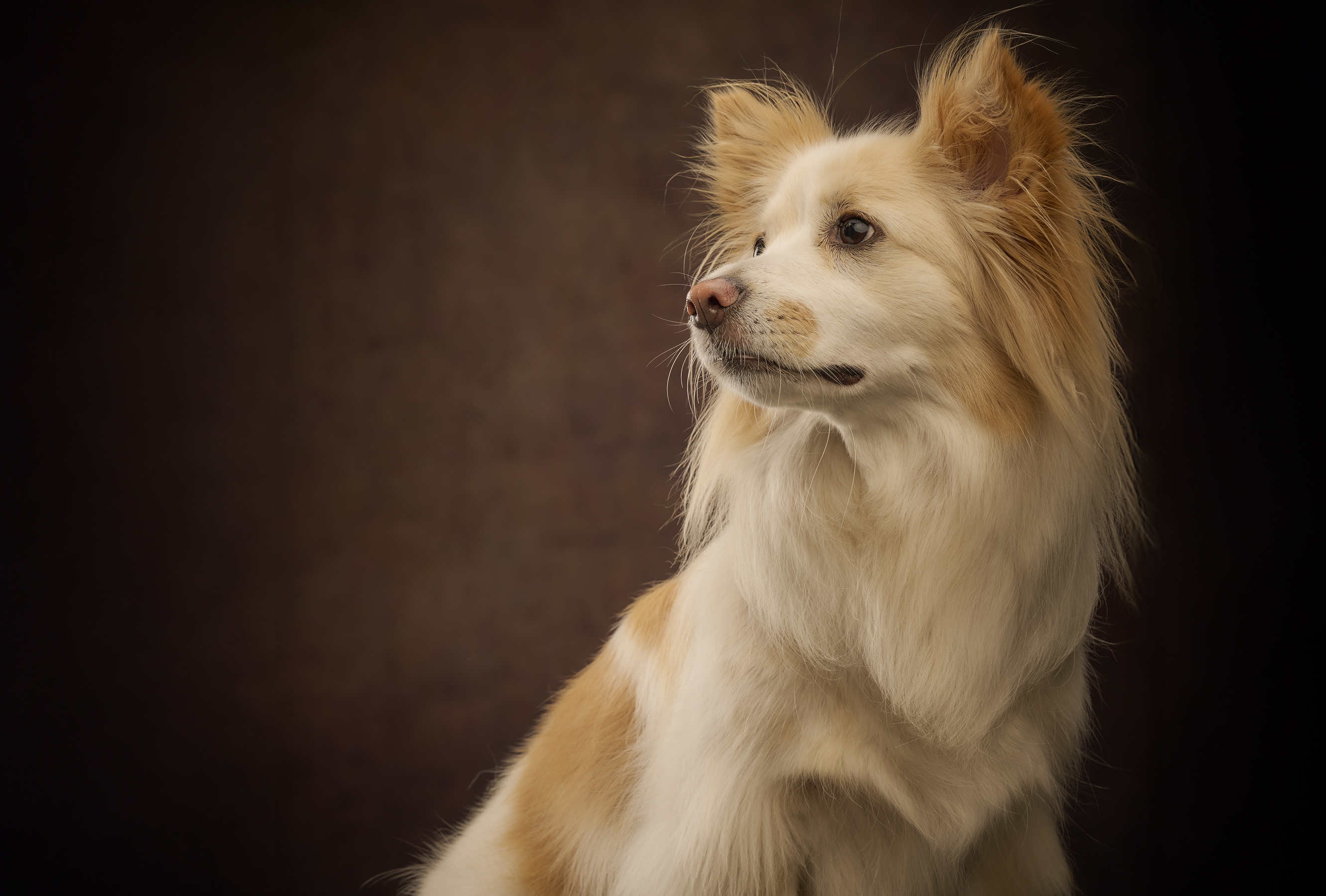 Portrait of 廣瀬 達郎