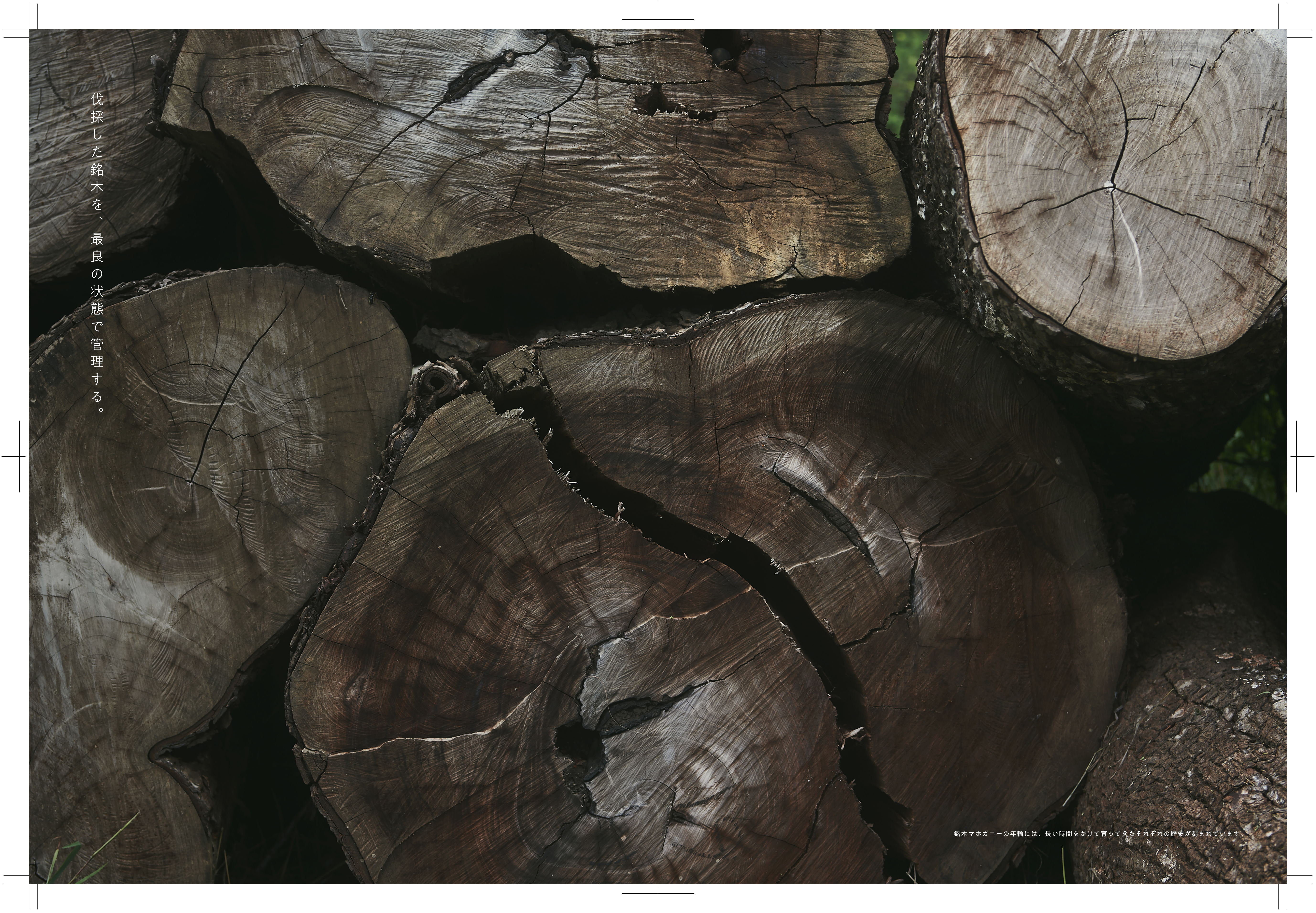 prinewood