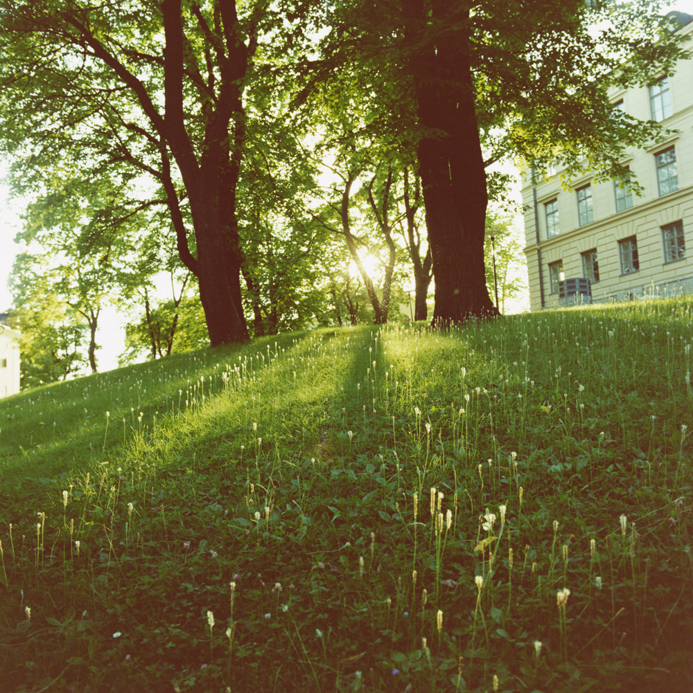 go to 7 of 10 slide