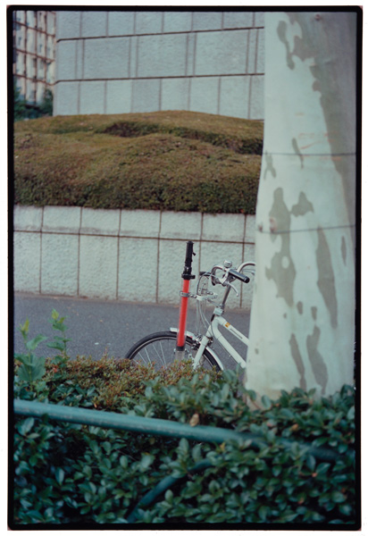 go to 12 of 50 slide