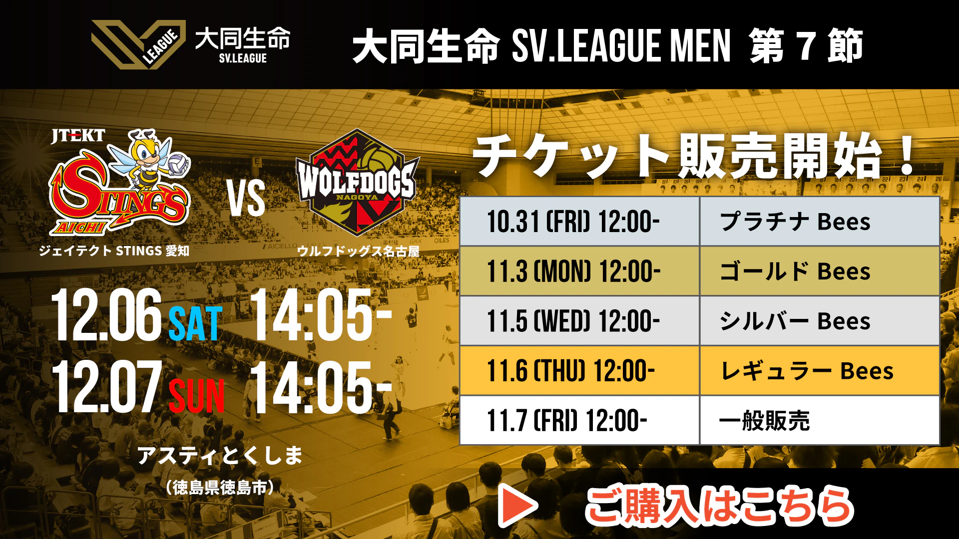 ジェイテクトSTINGS愛知 2025-26 第7節 チケット情報