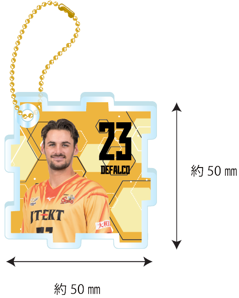 グッズ | ジェイテクトSTINGS愛知｜男子バレーボールチーム