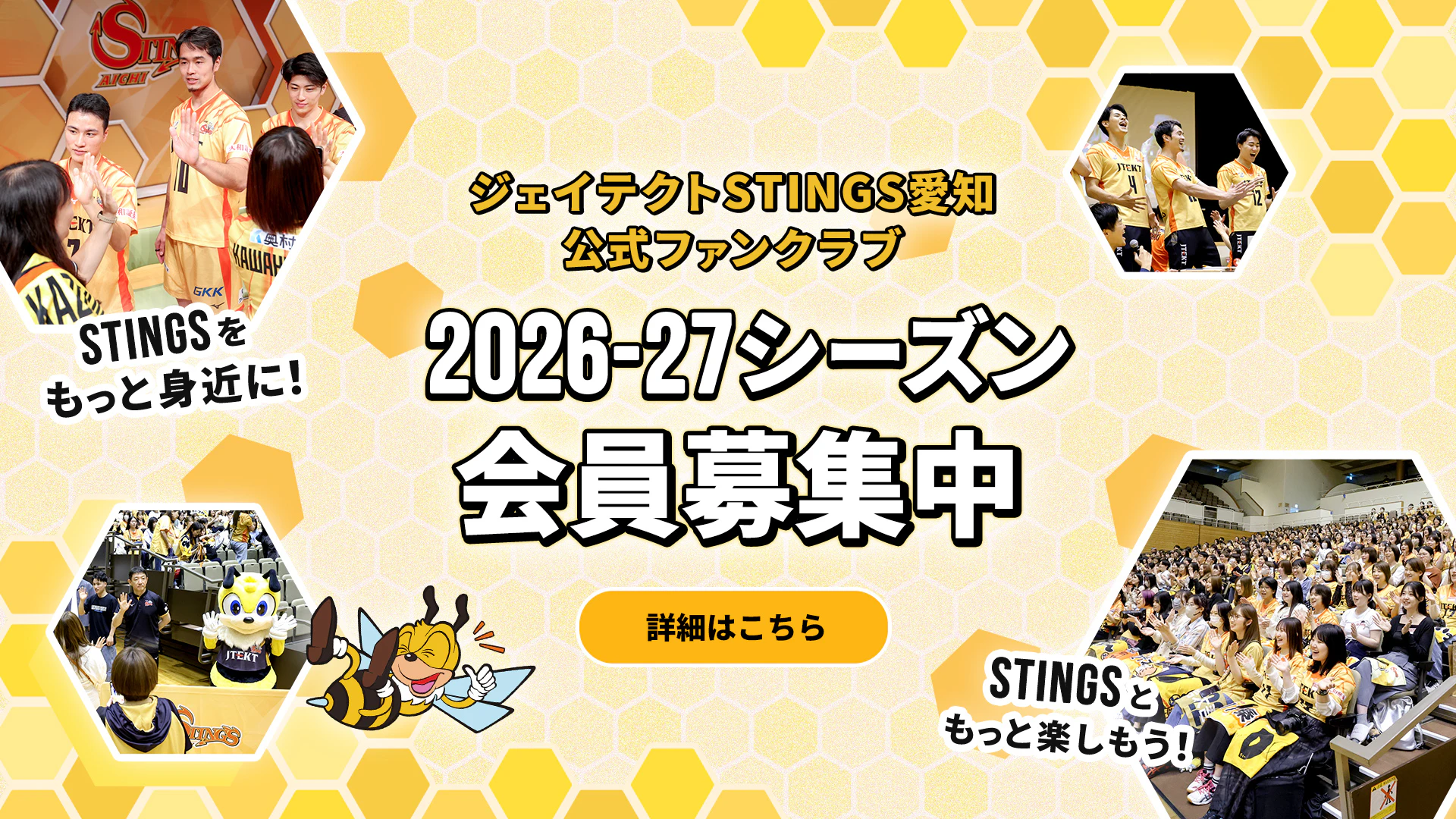 ジェイテクトSTINGS愛知 公式ファンクラブ 2026-27シーズン会員募集中