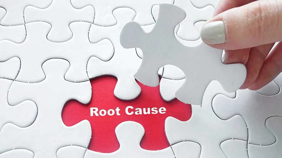 nazenaze-analysis_image